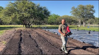 BUILD BETTER SOIL  Three Things we Learned While Cover Cropping our Beds in our 2400 sqft Garden [upl. by Cousin]