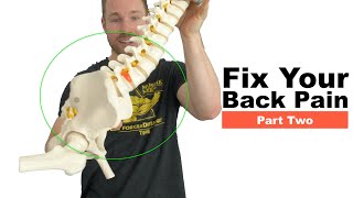 Fix Your Back Pain Part 2 Movement Assessment [upl. by Narah]