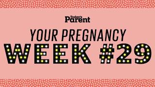 Your pregnancy 29 weeks [upl. by Bum201]