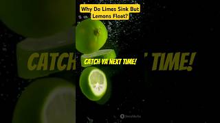 Fascinating Facts About Limes amp Lemons 🍋limesoda lemon facts trendingshorts [upl. by Nipsirc]