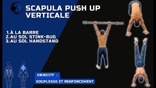 scapula push up verticale [upl. by Taddeusz]