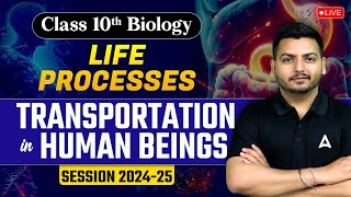 Transportation in Human Beings  Life Processes  Class 10 Biology Chapter 1  Biology by Raghvendra [upl. by Axela]