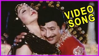 Raani Vaasana O Rama Chilakaa  Jayam Manade Telugu Video Songs  Krishna  Sridevi [upl. by Champ]