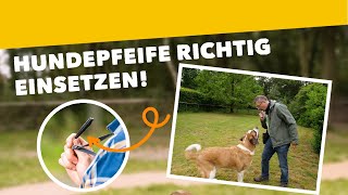 🐶Die Hundepfeife richtig einsetzen 👉 Tipps und Tricks Training 34 2020 [upl. by Dixon]