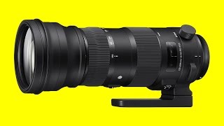 Nikon 200500mm vs Sigma 150600mm  Which One Should I Buy [upl. by Diraj]