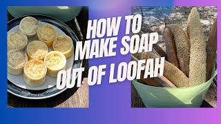 How to Make Soap with Loofah [upl. by Giacamo23]