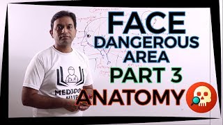 ANAHNB040 Face Part 3  Dangerous Area  ANATOMY  Dr Prashant Sharma [upl. by Chally]