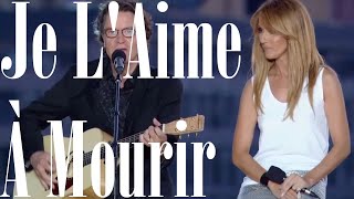 Francis Cabrel amp Céline Dion  Je LAime À Mourir OnScreen Lyrics [upl. by Maier4]