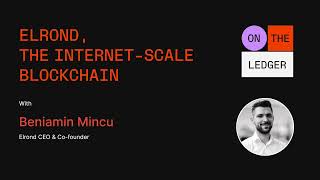 Elrond the Internetscale Blockchain w Beniamin Mincu [upl. by Tivad649]