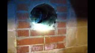 Installing a stove pipe through wall in an existing masonry chimney DIY Do it yourself how to video [upl. by Aiuqet]