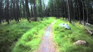 Laggan Wolftrax Downhill Mountain Biking the Green Route [upl. by Melisse]