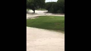 Flooding of Rowlett Creek on Firewheel [upl. by Anileme217]