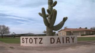 Stotz Dairy [upl. by Penhall344]