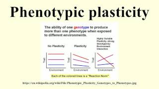 Phenotypic plasticity [upl. by Moonier]