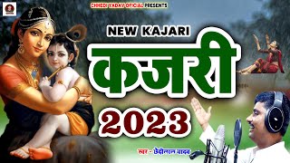 kajari  गोरी राधिका त काहे हम काला माई कहे मुरलीवाला माई  छेदीलाल यादव का सुपरहिट 2023 कजरी गीत [upl. by Asilrak84]