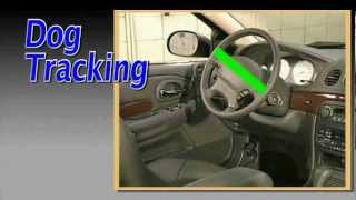 A Visual Explanation of quotDog Trackingquot In A Vehicle  BestTireAndWheelShopcom [upl. by Devaney108]