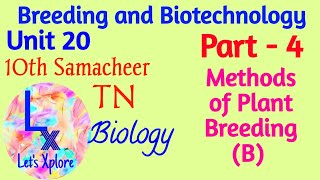 10th std Biology  Unit 20 Breeding and Biotechnology  Methods of Plant Breeding B  Part 4 [upl. by Tnarud60]