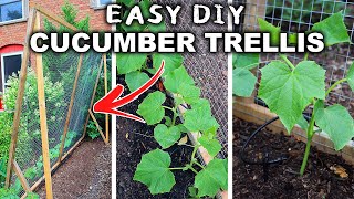 How to Build a Cool Cucumber Trellis Simple amp Inexpensive [upl. by Upton]