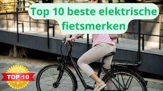 Dit zijn de Top 10 Beste Elektrische Fietsmerken van 2024 [upl. by Eladnwahs]