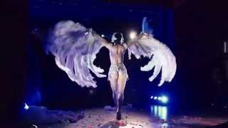 Toronto Burlesque Festival 2015  Opening Bash  Vicky Butterfly [upl. by Hekking]