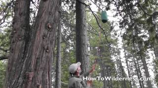 Bear Bag PCT Method Demo [upl. by Pulcheria]