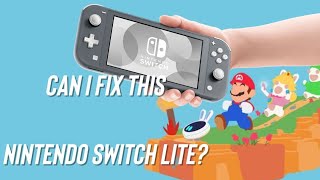 Can I fix a Switch Lite [upl. by Buckingham437]