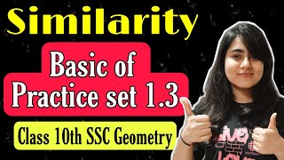 10th Geometry One Shot Video  Chapter No 1  Similarity  JR Tutorials [upl. by Rehpotsyrhc]