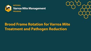 Brood Frame Rotation for Varroa Mite Treatment and Pathogen Reduction [upl. by Eltsryk]