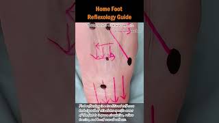 Home Foot Reflexology Guide reflexology selfcare footreflexology footcare holistichealth [upl. by Naimed47]