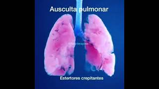 Ausculta pulmonar estertores crepitantes [upl. by Akiret]