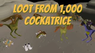 Loot from 1000 Cockatrice OSRS [upl. by Ecenahs215]