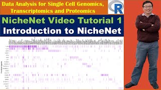 NicheNet Video Tutorial 1 Introduction to NicheNet [upl. by Ralph]