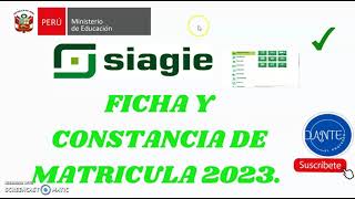 FICHA Y CONSTANCIA DE MATRICULA 2023 [upl. by Anderegg352]