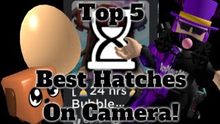 Top 5 Best Hatches on Camera Bubblegum Emperors [upl. by Zitah]