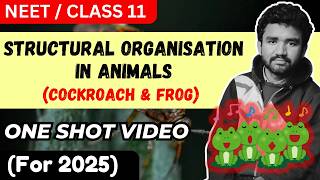 Structural Organisation in Animals  One Shot Video  NEET 2024  Class 11 Biology  Mridul Tiwari [upl. by Maidy]