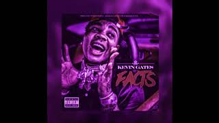 Kevin Gates  Facts slowed [upl. by Stacy]