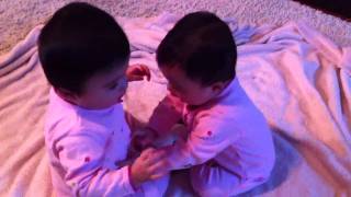 Twins fighting over pacifier  Too Funny [upl. by Meyers]