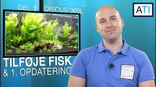 Tilføje fisk og første opdatering  Discus akvarie 360 liter del 3 [upl. by Boudreaux]