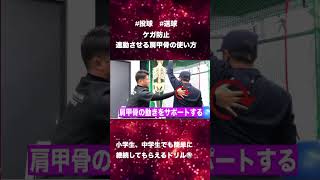 肩甲骨を使って投げる簡単な方法⚾ 肩甲上腕リズム 少年野球 投球 [upl. by Barney]