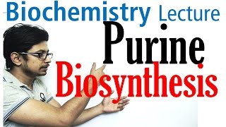 Purine  Its Structure  role in DNA  importance [upl. by Ytirev]