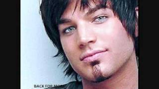 What Do You Want From Me  Adam Lambert Lyrics [upl. by Carrel]