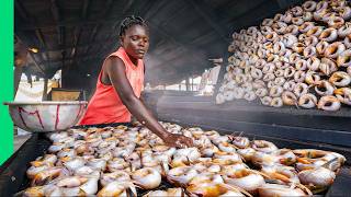 Eating in Africas WILDEST Fish Market Seafood Factory [upl. by Markson]