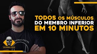 APRENDA TODOS OS MÚSCULOS DO MEMBRO INFERIOR EM 10 MINUTOS [upl. by Zarah]