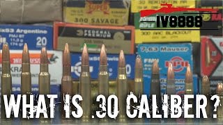 Firearms Facts 30 Caliber Explained [upl. by Hazaki]