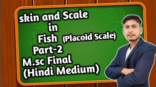 Skin and Scale in Fishes  Placoid Scale Part2 Hindi Medium [upl. by Secundas]