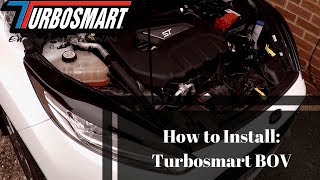 How to install  Turbosmart Dual Port BOV  Fiesta ST180 [upl. by Garibull]