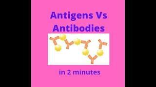 Antigens vs Antibodies in under 2 mins [upl. by Yesnikcm]