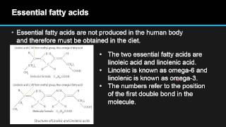 Flaxseed Benefits for Skin amp Symptoms of Linoleic Acid Deficiency – Dr Berg [upl. by Bergstein]