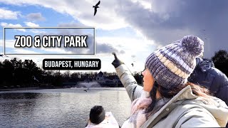 Budapest Hungary Zoo amp City Park [upl. by Furgeson8]