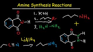 Amine Synthesis Reactions Organic Chemistry  Summary amp Practice Problems [upl. by Volnak921]